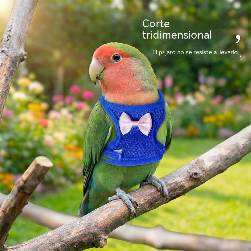🐦【Oferta especial🔥】Rienda y correa de vuelo para loros