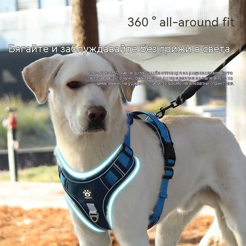 🐶🔥【50% отстъпка】Качулка за кучета против дърпане с каишка и нашийник ✨