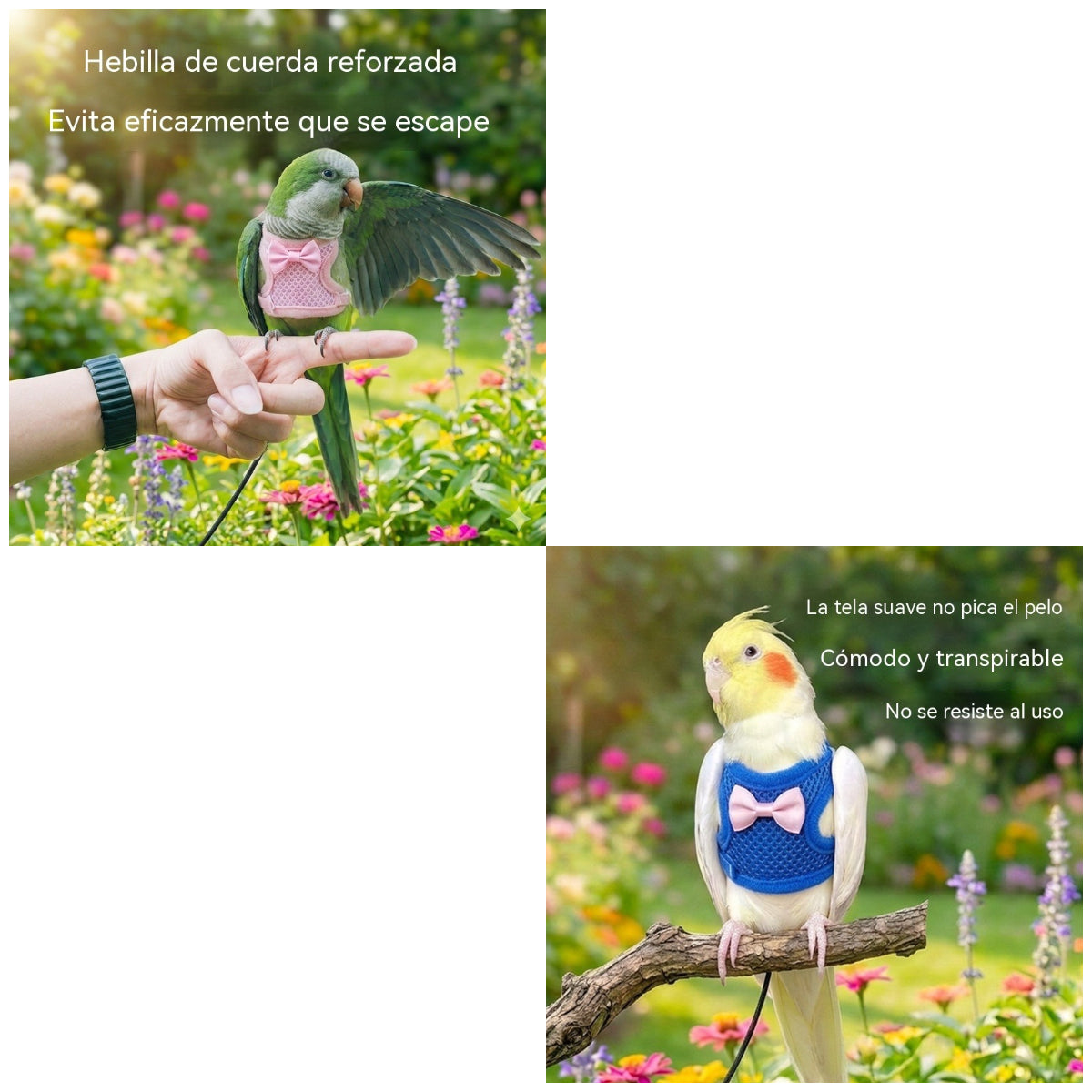 🐦【Oferta especial🔥】Rienda y correa de vuelo para loros
