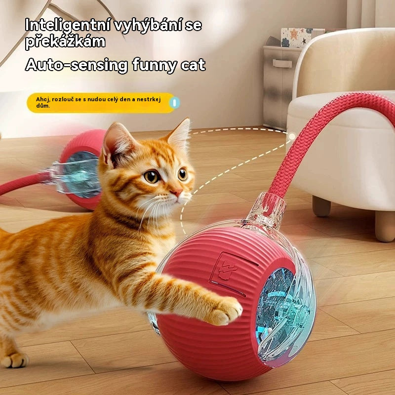 🐱🐕【Kupte 1, získejte 1 zdarma】Chytrý gravitační míč pro domácí mazlíčky - elektrický míč pro kočky (voděodolný)