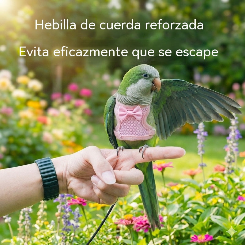🐦【Oferta especial🔥】Rienda y correa de vuelo para loros