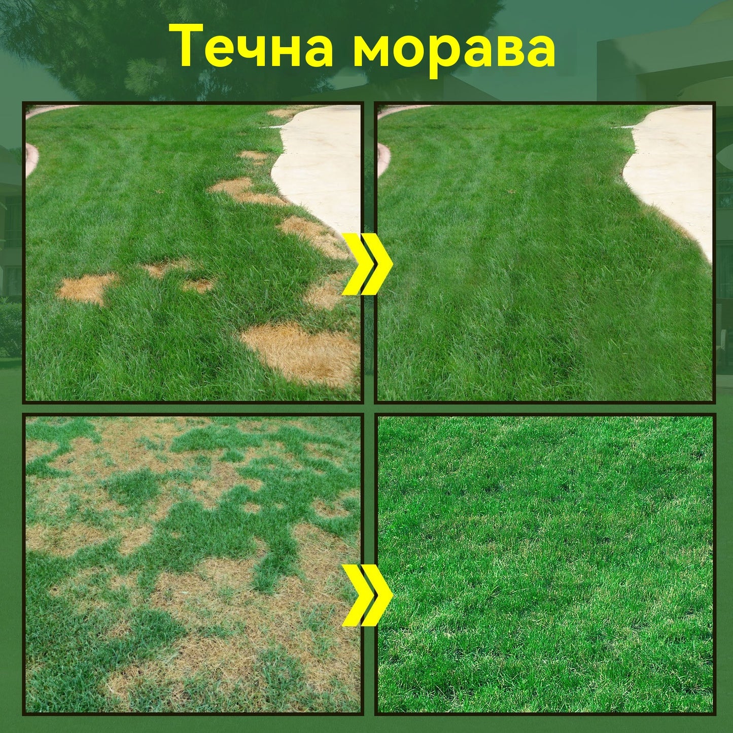 🌿🌿【2 броя】Течен препарат за грижа за тревни площи, течен хранителен препарат за засаждане на трева